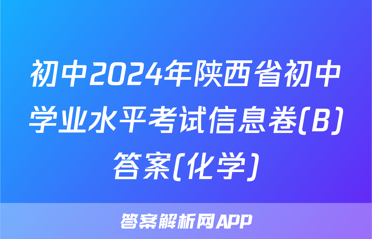 初中2024年陕西省初中学业水平考试信息卷(B)答案(化学)