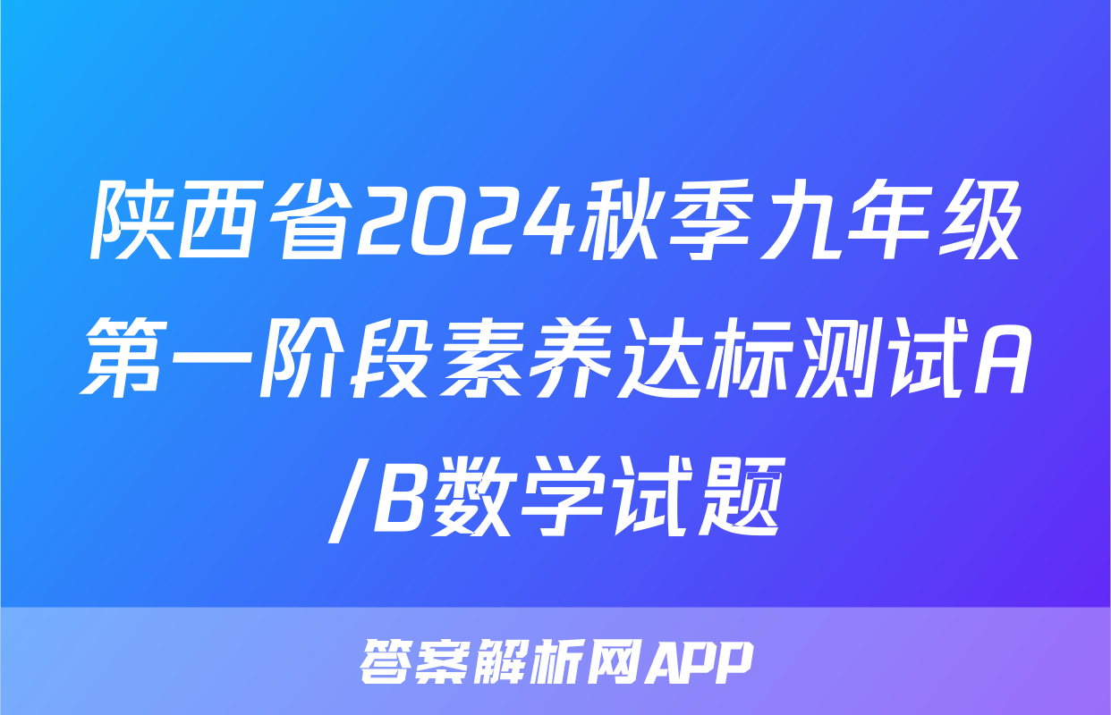 陕西省2024秋季九年级第一阶段素养达标测试A/B数学试题