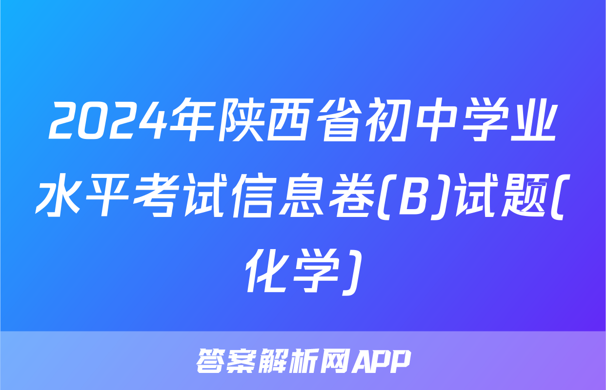 2024年陕西省初中学业水平考试信息卷(B)试题(化学)