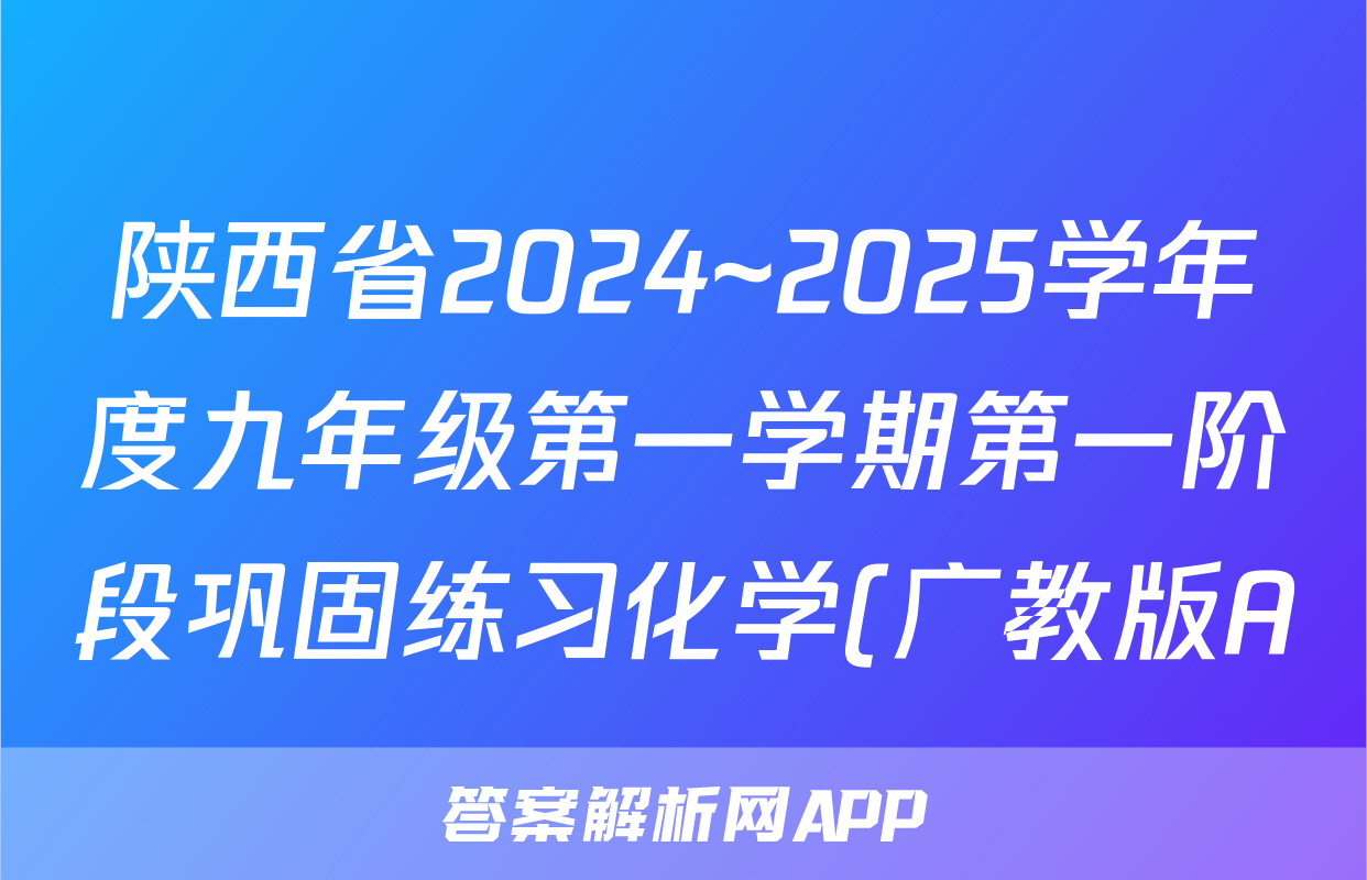 陕西省2024~2025学年度九年级第一学期第一阶段巩固练习化学(广教版A)试题